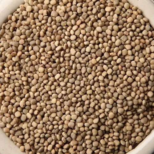 Guar Seeds