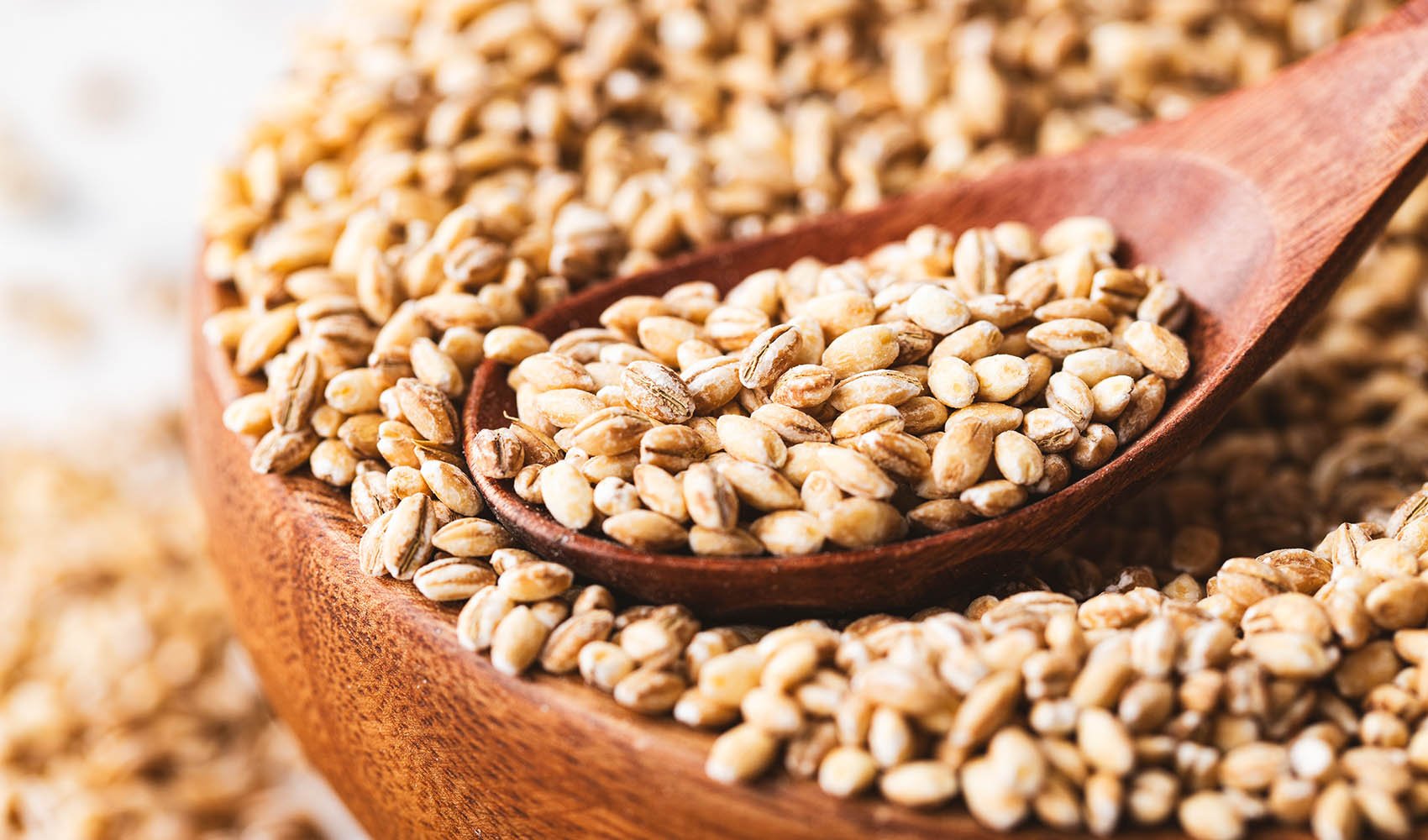 Barley Grains