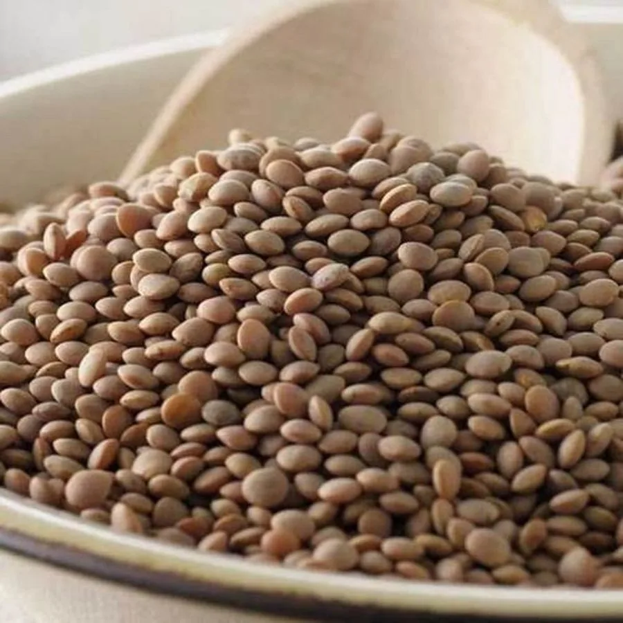 Red lentil (masoor dal) &mdash; whole and split for export to Middle East and global markets